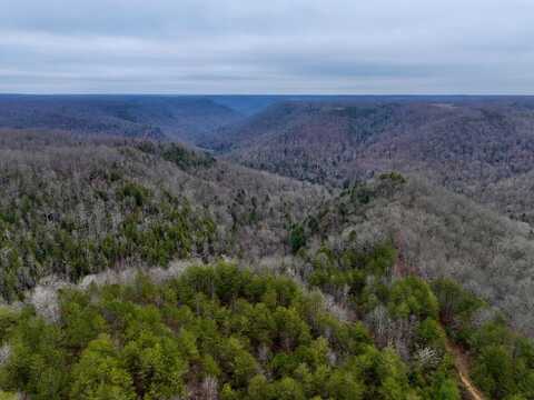 Coal Lane, MONTEREY, TN 38574