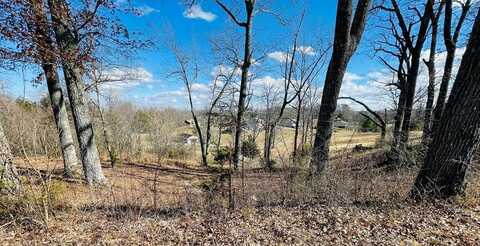 lot 54 BUNKER HILL RD, SPARTA, TN 38583