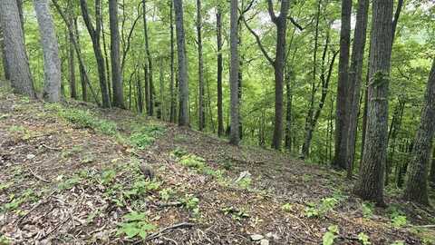 4 Savannah Dr, SMITHVILLE, TN 37166