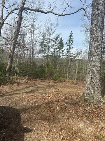 Lot 432 Valley View Circle Lot 432, WILDER, TN 38589
