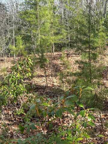 Lot 432 Valley View Circle Lot 432, WILDER, TN 38589