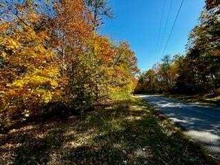 Lot 46 Honey Springs, CRAWFORD, TN 38554