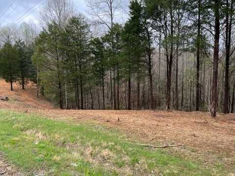 Lot 1 Willow Grove Hwy, ALLONS, TN 38541