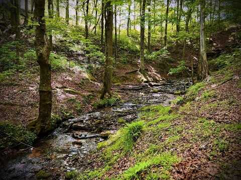 60ac Three Island Road, Walling, TN 38587