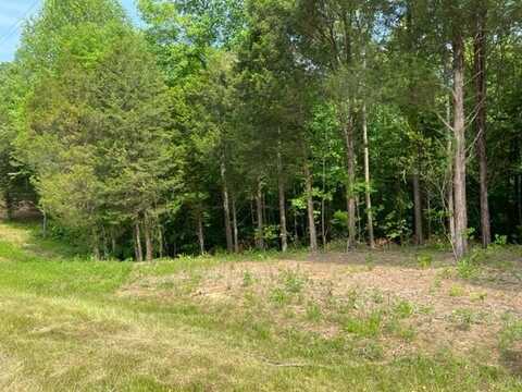 Lot 3 Willow Grove Hwy, ALLONS, TN 38541