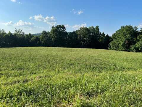 Lot 17 Amonett Circle, Byrdstown, TN 38549