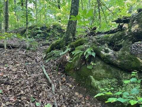 Lot 89 Bobcat Lane, WILDER, TN 38589