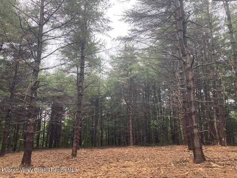 County Rte 51 lot: 6, Coxsackie, NY 12051