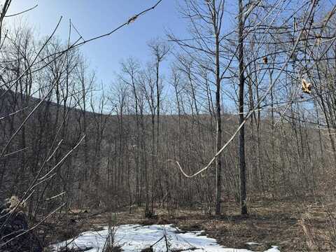 Erika Drive, Shandaken, NY 12480