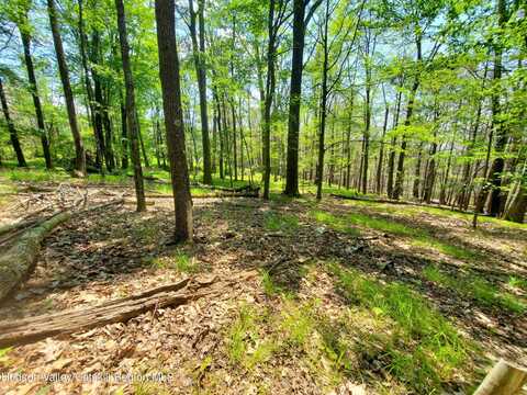 Piney Lane, Cragsmoor, NY 12420