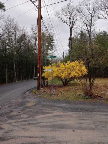 Gladys Lane, Saugerties, NY 12477