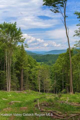 State Hwy 23, Grand Gorge, NY 12434