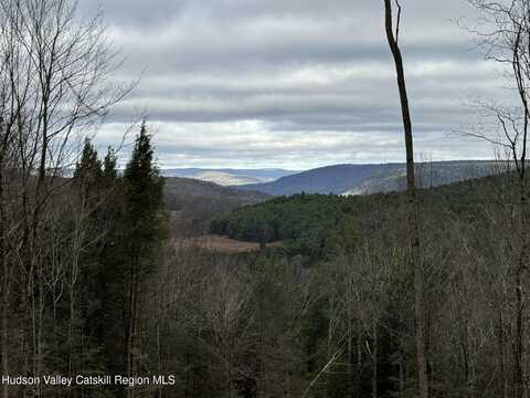 State Hwy 23, Grand Gorge, NY 12434