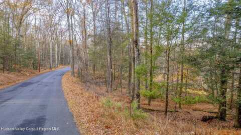 Tbd Cherry Hill Lot #1 Road, Stone Ridge, NY 12484