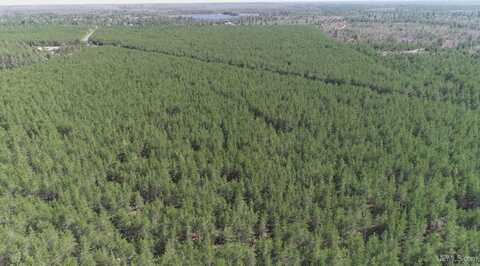 Parcel 5 Rice Lake, Gwinn, MI 49841