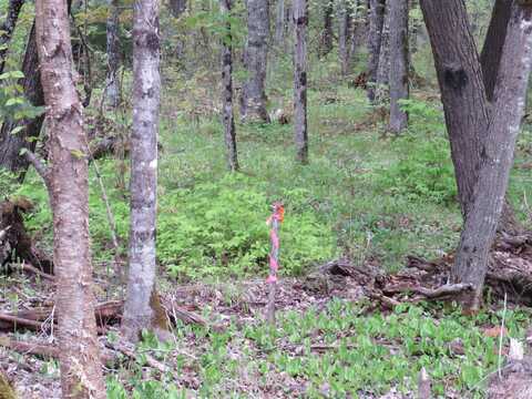 TBD Off Silver Mountain (425 On Some Maps), Pelkie, MI 49958