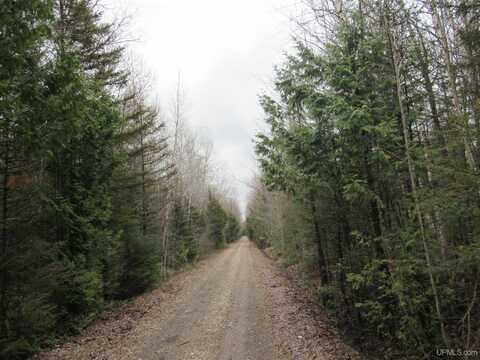 TBD Deerton-Sand Lake, Deerton, MI 49822