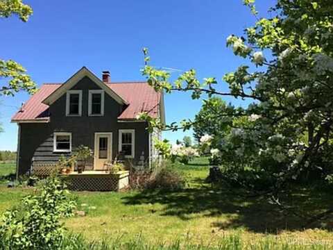 307 Lawson, Skandia, MI 49885