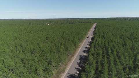 Parcel 3 Rice Lake, Gwinn, MI 49841