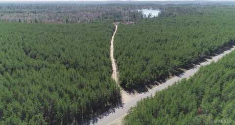 Parcel 1 Rice Lake, Gwinn, MI 49841