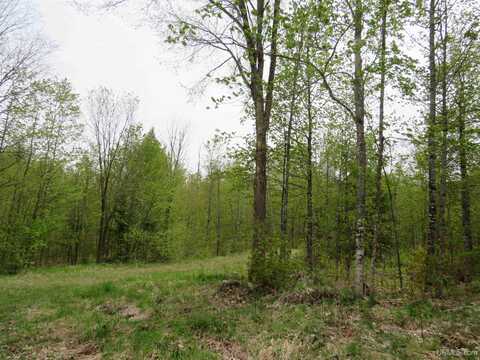 14108 Fire Tower, Sidnaw, MI 49962