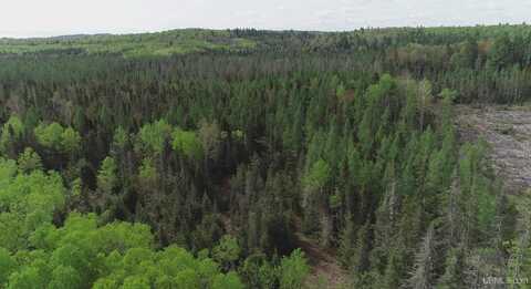 280 Acres County Road CCN, Ishpeming, MI 49849