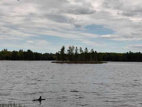 301A-301B Robinson Lake, Iron River, MI 49935