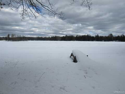 301A-301B Robinson Lake, Iron River, MI 49935