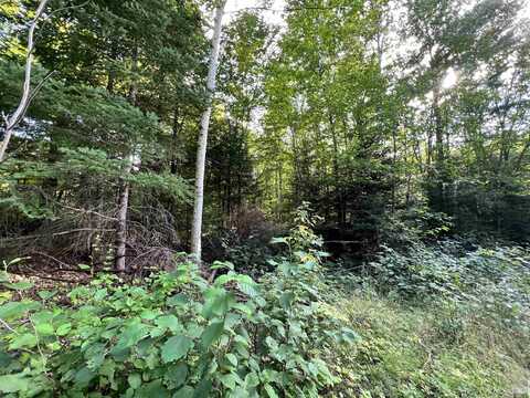 Lot 159 Blue, Nisula, MI 49952