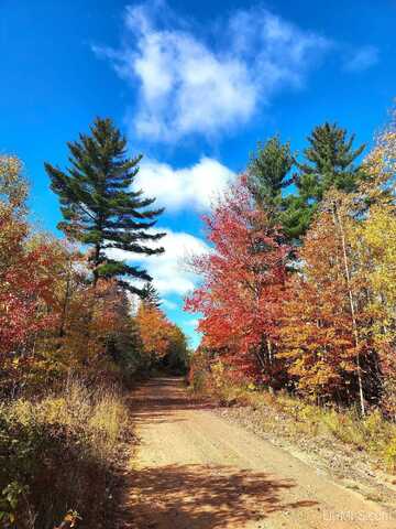 TBD Co Rd EEB/Pohlman, Gwinn, MI 49841