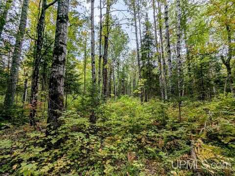 40 acres 45, Bruce Crossing, MI 49912