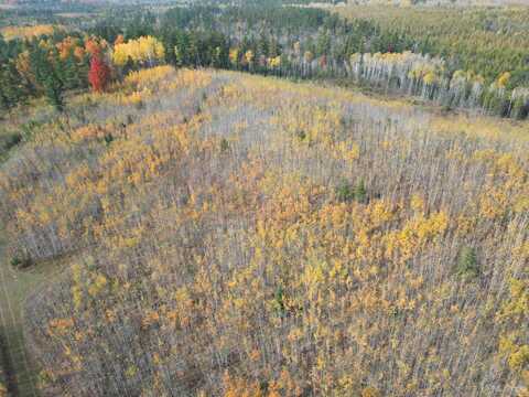 TBD Off Murray 80, Perronville, MI 49873