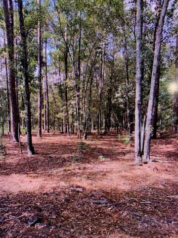 1.65 acres Claudia Street, Hahira, GA 31632