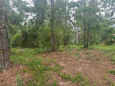 Lot 26 Cypress Lakes Drive, Lake Park, GA 31636