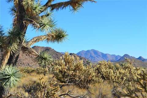 11626 S Sherry Road, Yucca, AZ 86438