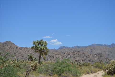 11626 S Sherry Road, Yucca, AZ 86438