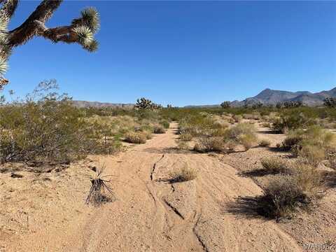 N Van Street, Meadview, AZ 86444