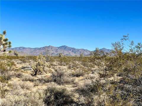 540 S Wild Bill Road, Yucca, AZ 86438