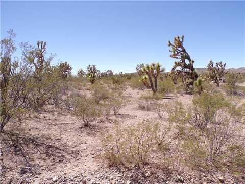 Lot 15 N Kingman Drive, Dolan Springs, AZ 86441