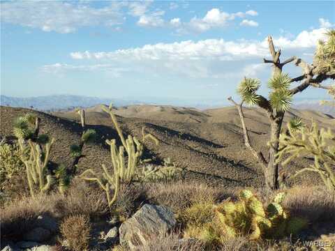 337-10-127 TBD, White Hills, AZ 86445