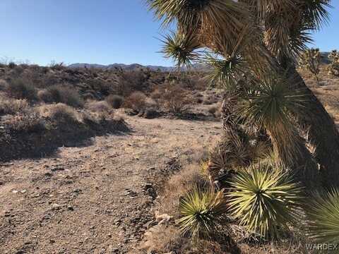 Lot 301 W Sarari Drive, Meadview, AZ 86444