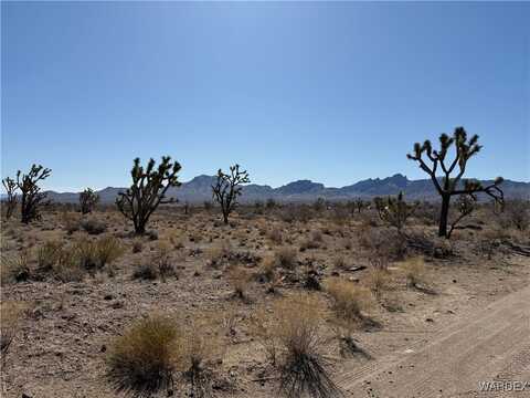 0 N Lomila Drive, Dolan Springs, AZ 86441