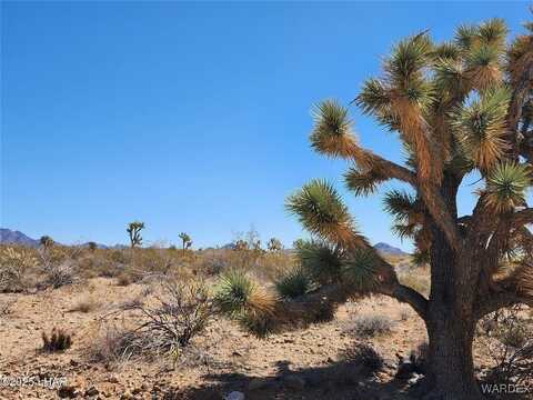 000 E Hondo Drive, Yucca, AZ 86438