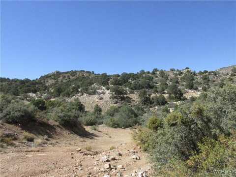 WALAPAI MINING RD, Kingman, AZ 86409