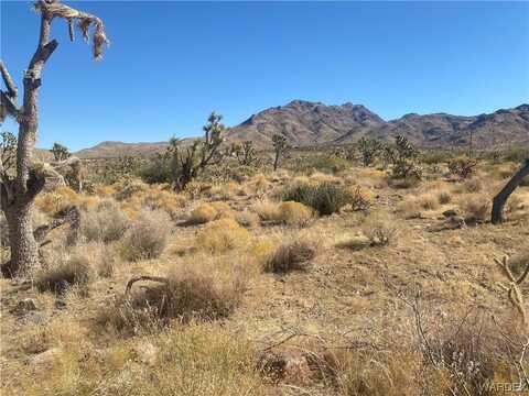 PALM Drive, Dolan Springs, AZ 86441