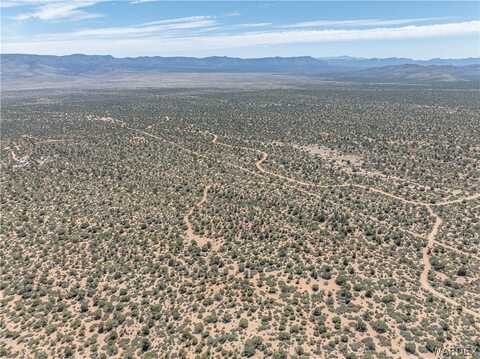 Green Tree, Hackberry, AZ 86411