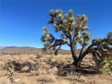 000 TELEGRAPH Drive, Dolan Springs, AZ 86441
