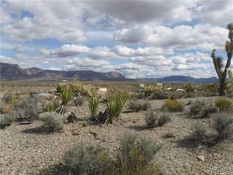 470 W Badger Cove, Meadview, AZ 86444