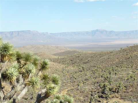 337-10-128 TBD, White Hills, AZ 86445