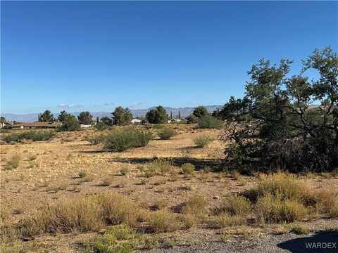 7771 E Devils Arch Drive, Kingman, AZ 86401